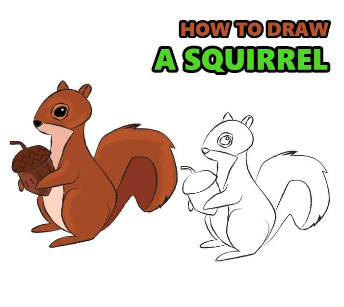 How to draw a squirrel