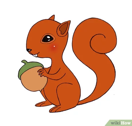 How to draw a squirrel easy cartoon realistic examples