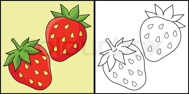 Strawberry fruit coloring page illustration stock vector
