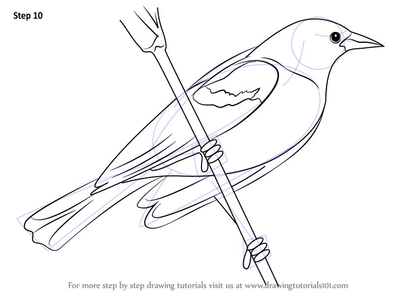 How to draw a red