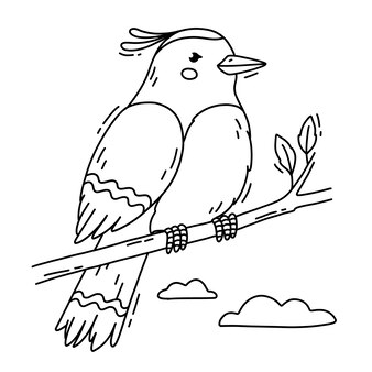 Page red winged blackbird drawing images