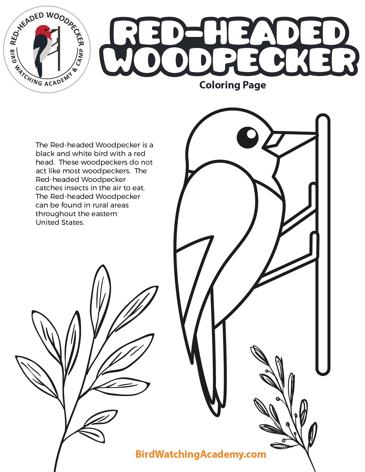 Coloring pages