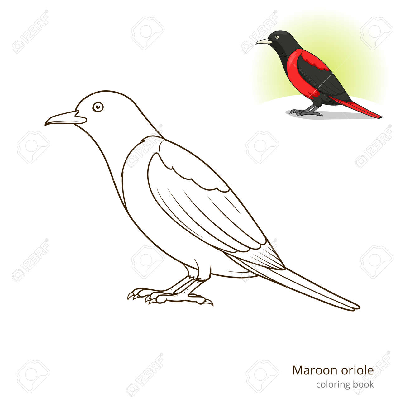 Maroon oriole bird learn birds educational game coloring book vector illustration royalty free svg cliparts vectors and stock illustration image