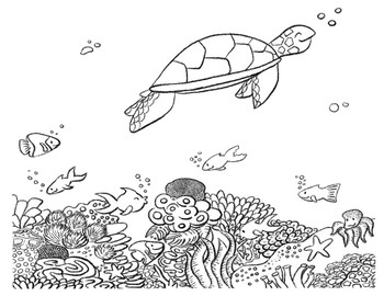 Free turtle on the reef coloring page by cookies and racecars tpt