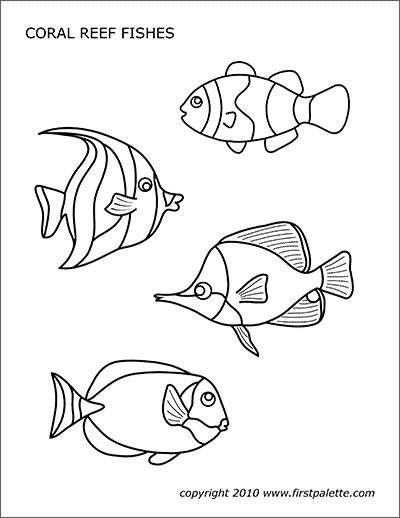 Printable coral reef fishes fish coloring page dolphin coloring pages coral drawing