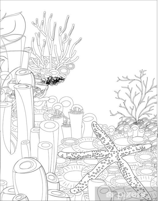 Sticker starfish with corals coloring book