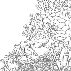 Coral reef coloring pages printable for free download