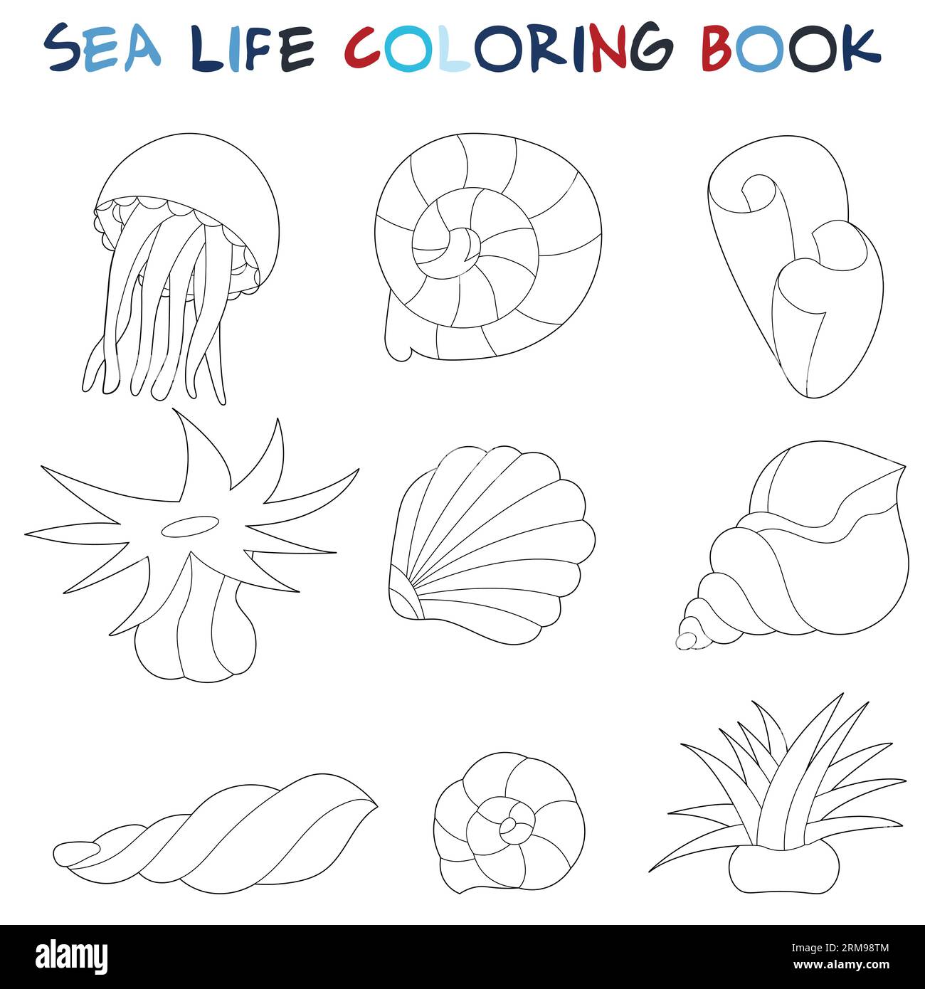 Sea shells marine plants and jellyfish original coloring pages of the underwater world black and white graphics for creativity of children and adul stock vector image art