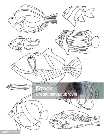 Tropical fish coloring pages stock illustrations royalty