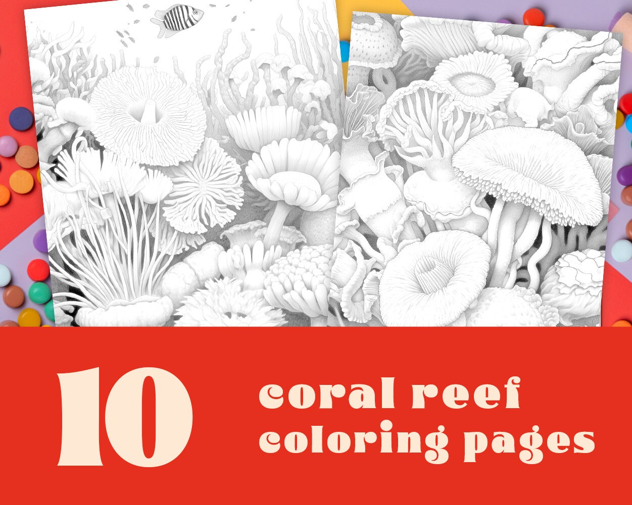 Coral reef colouring