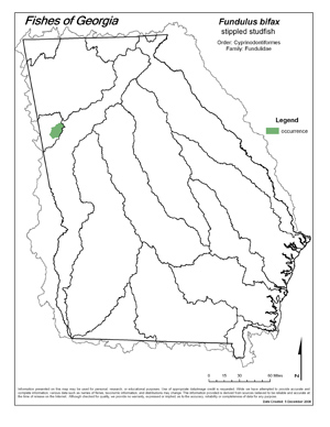 Fishes of georgia fish species description