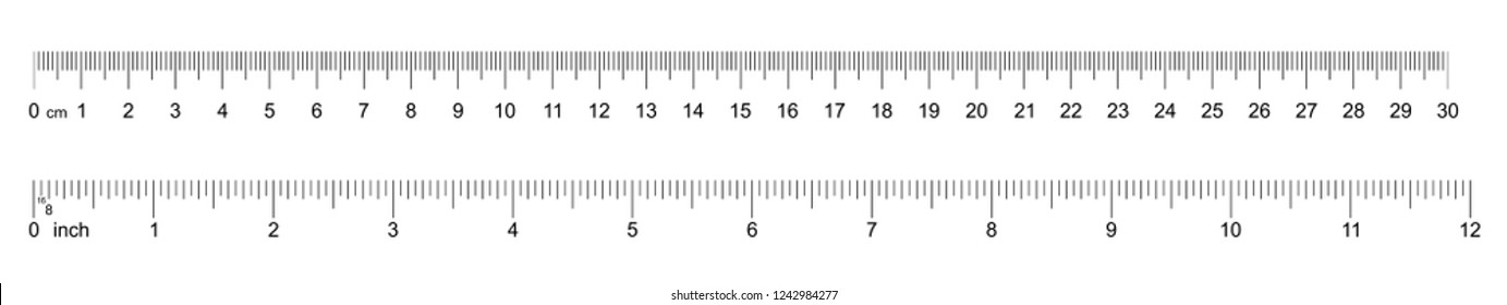 Measuring tool ruler graduation ruler grid stock vector royalty free