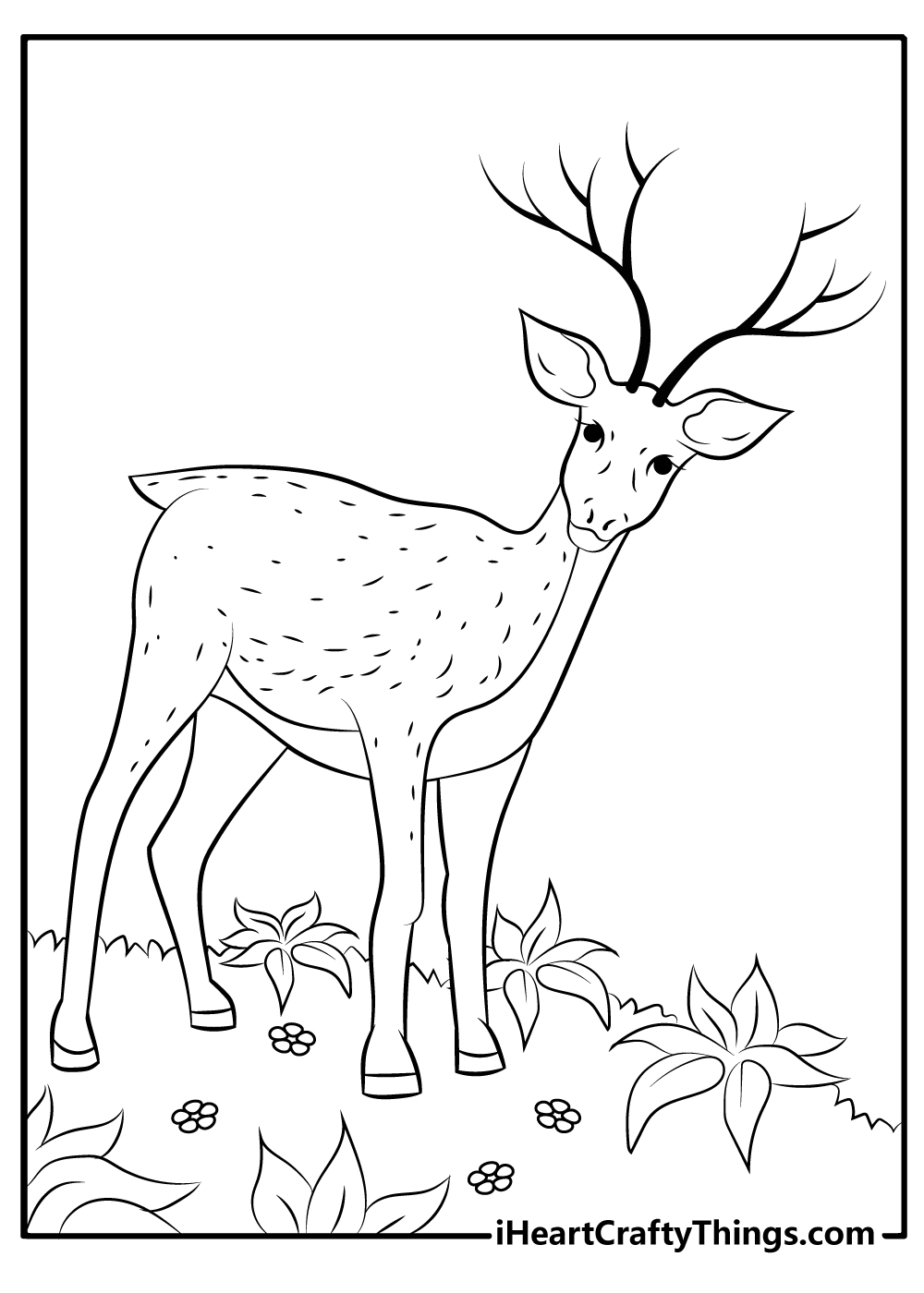 Deer coloring pages free printables