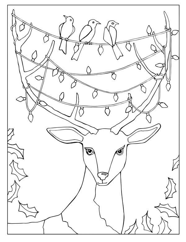 Flora and fauna coloring sheets â short leg studio