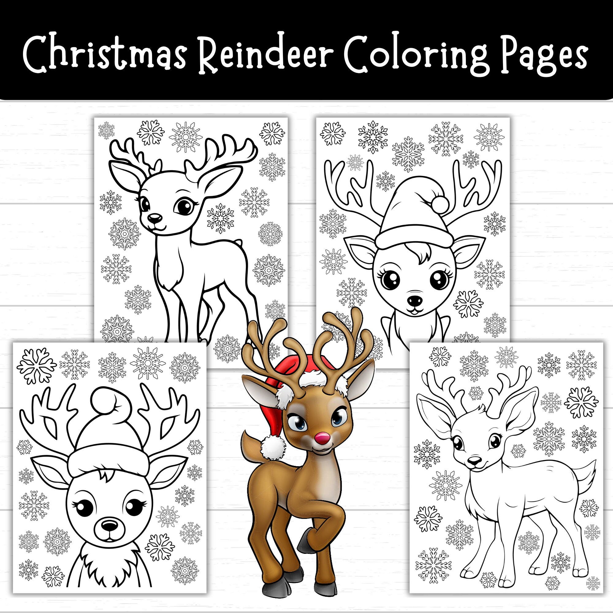 Reindeer coloring