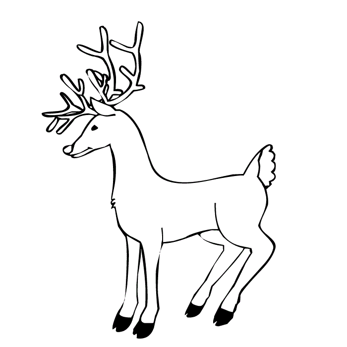 Free printable reindeer coloring pages for kids