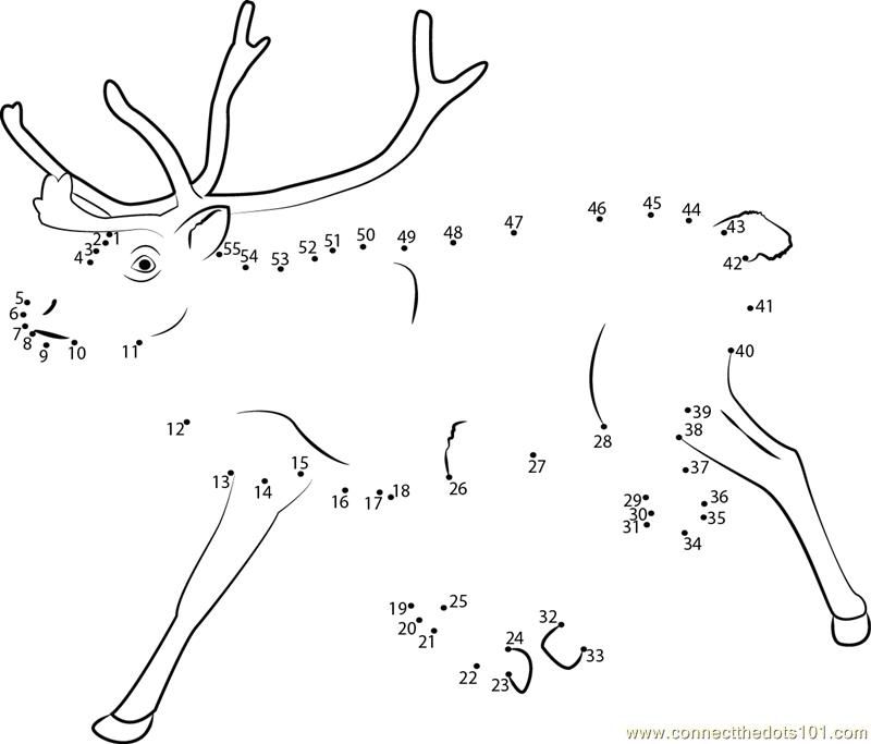 Reindeer running dot to dot printable worksheet