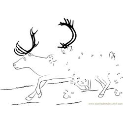 Reindeer connect the dots worksheets printable for kids