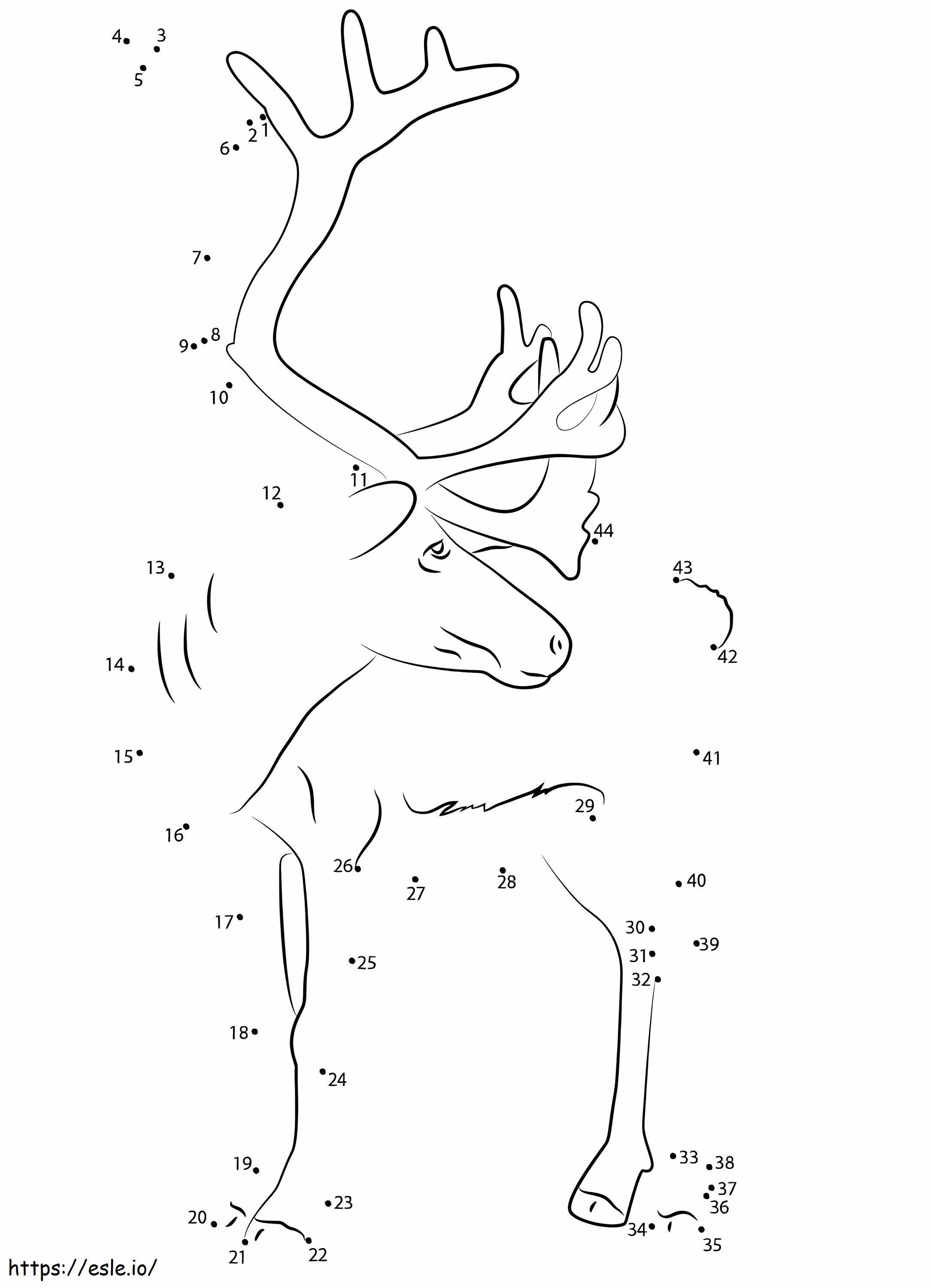 A reindeer dot to dots coloring page