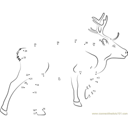 Reindeer look dot to dot printable worksheet