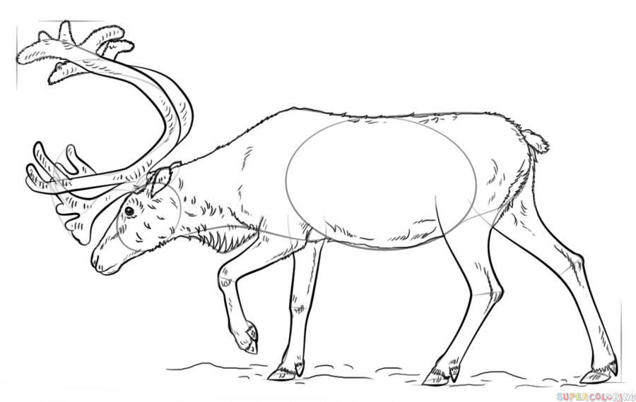 How to draw a reindeer step by step drawing tutorials