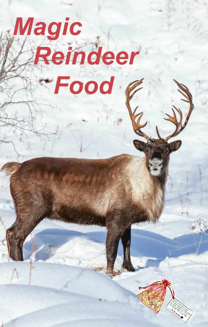 Reindeer food bags