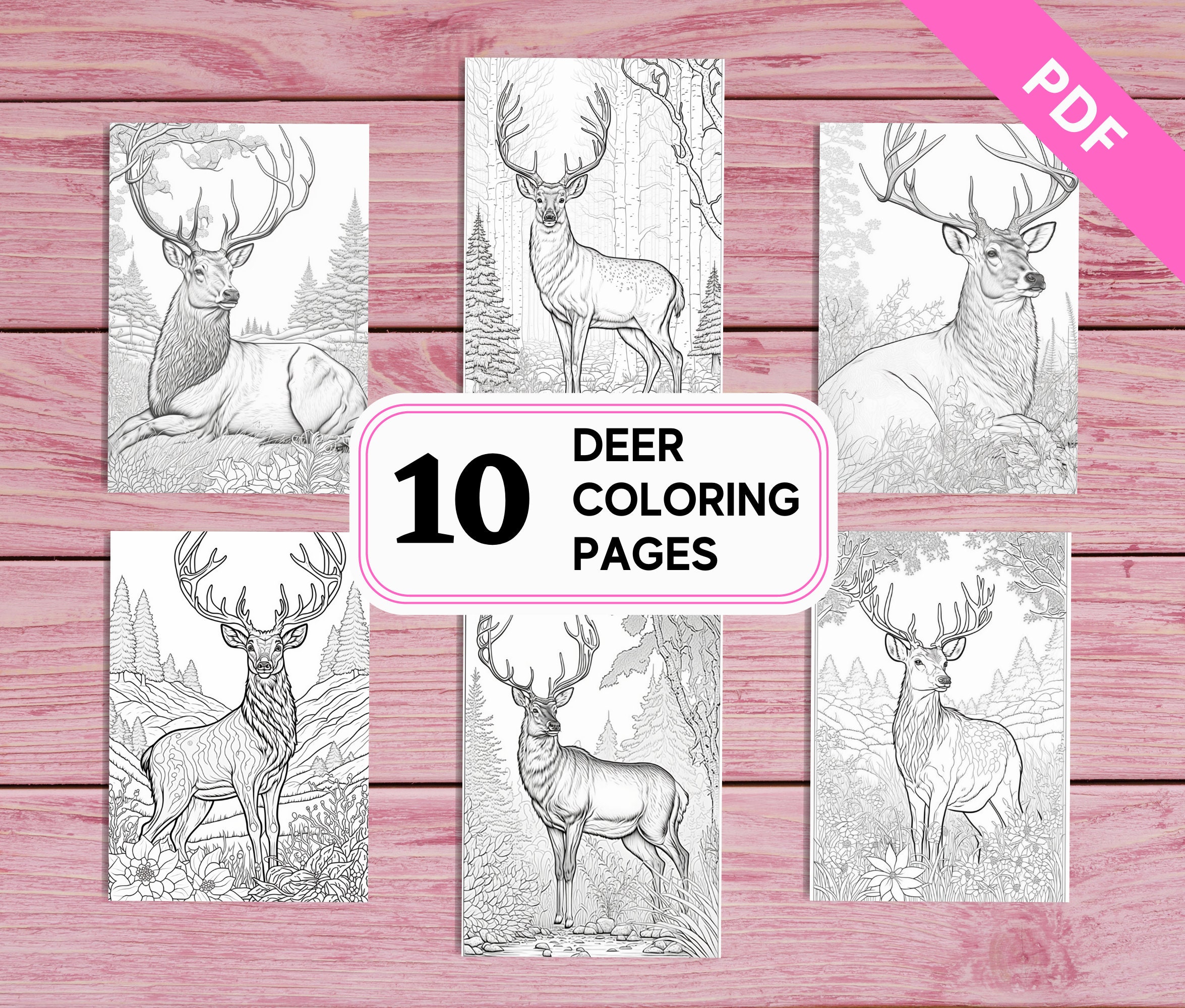 Majestic deer coloring pages for kids and adults printable pdf pages a instant download for girls boys adults women