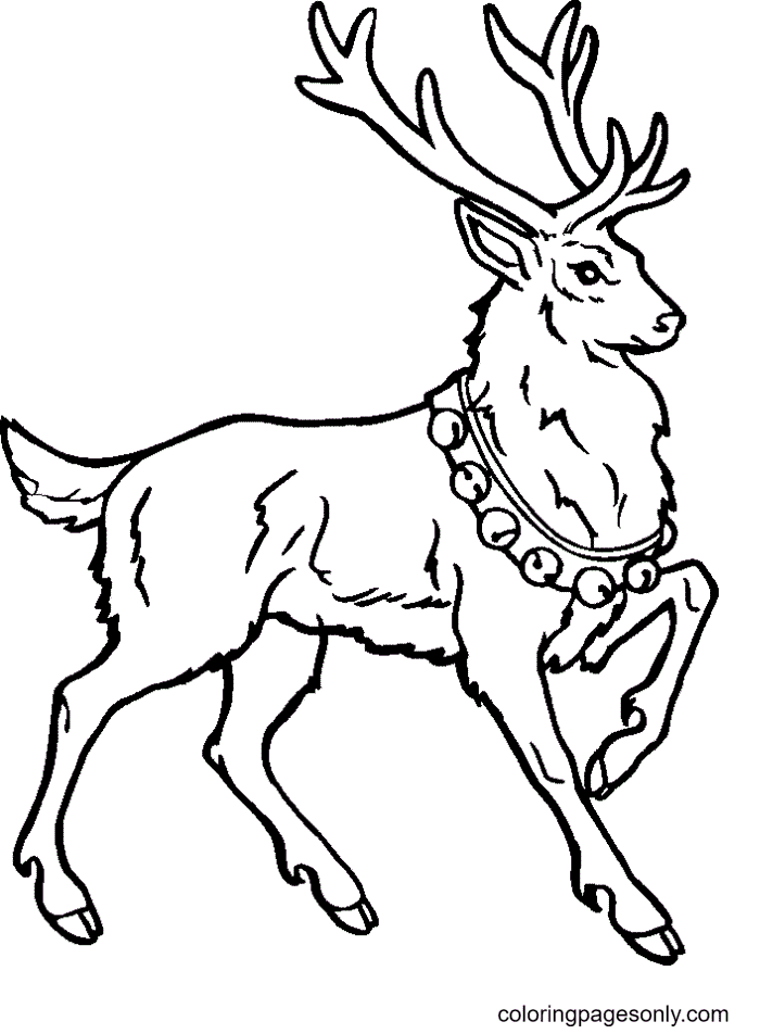 Reindeer coloring pages printable for free download