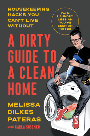 A dirty guide to a clean home by melissa dilkes pateras books