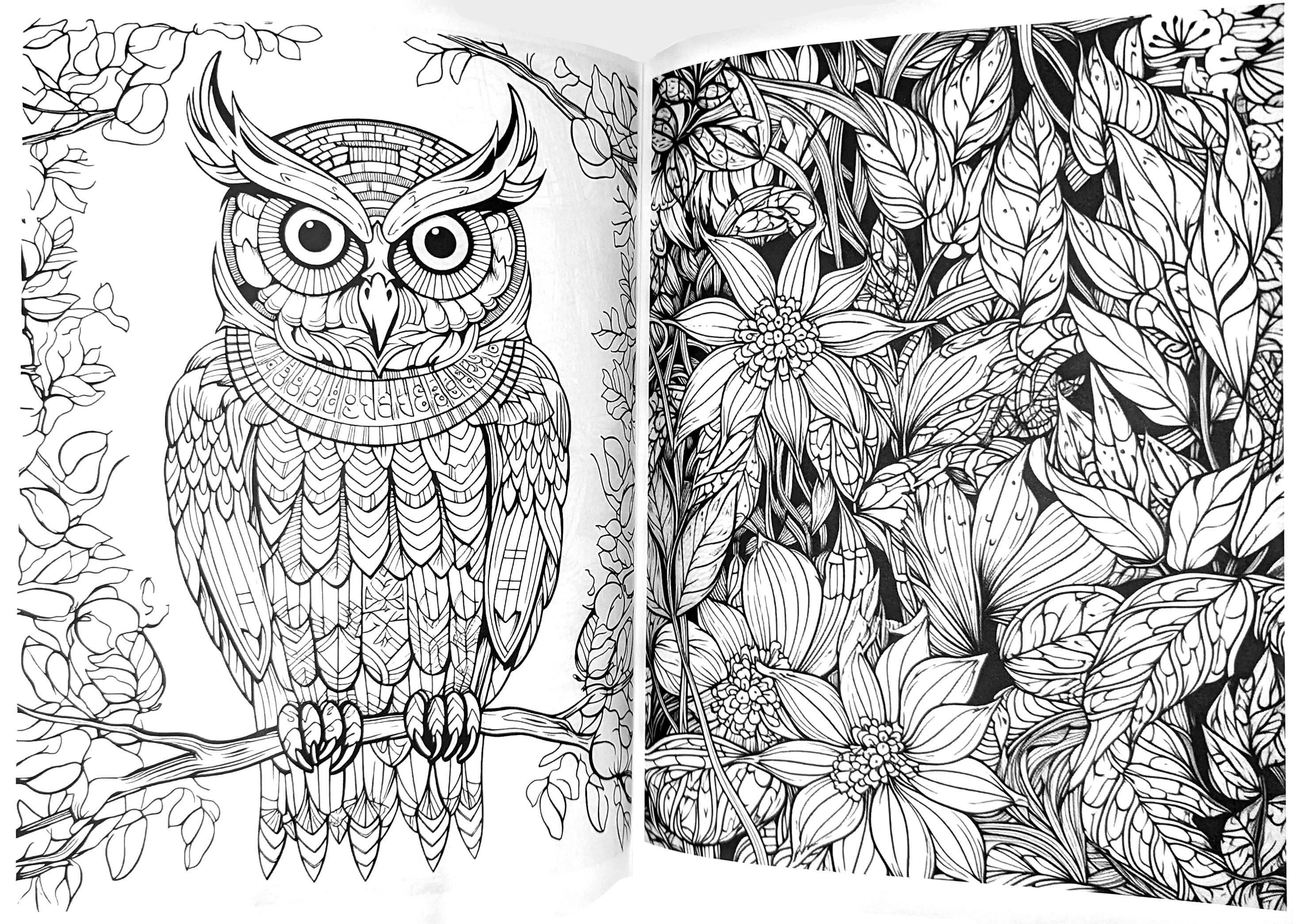 Discover tranquil patterns