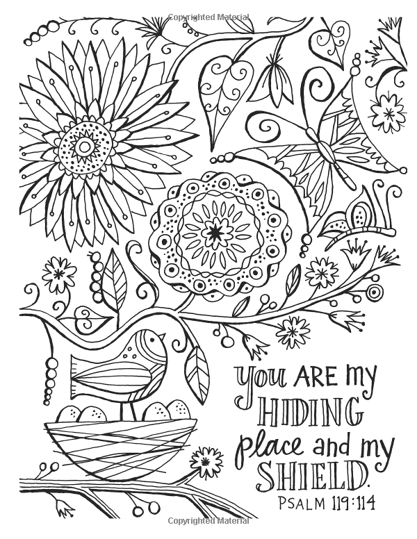 Color the promises of god an adult coloring book for your soul color the bible bible coloring pages christian coloring bible coloring