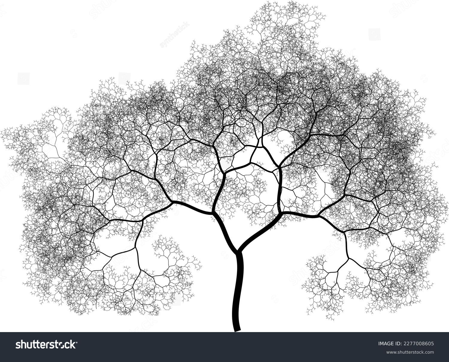 Black white fractal tree royalty