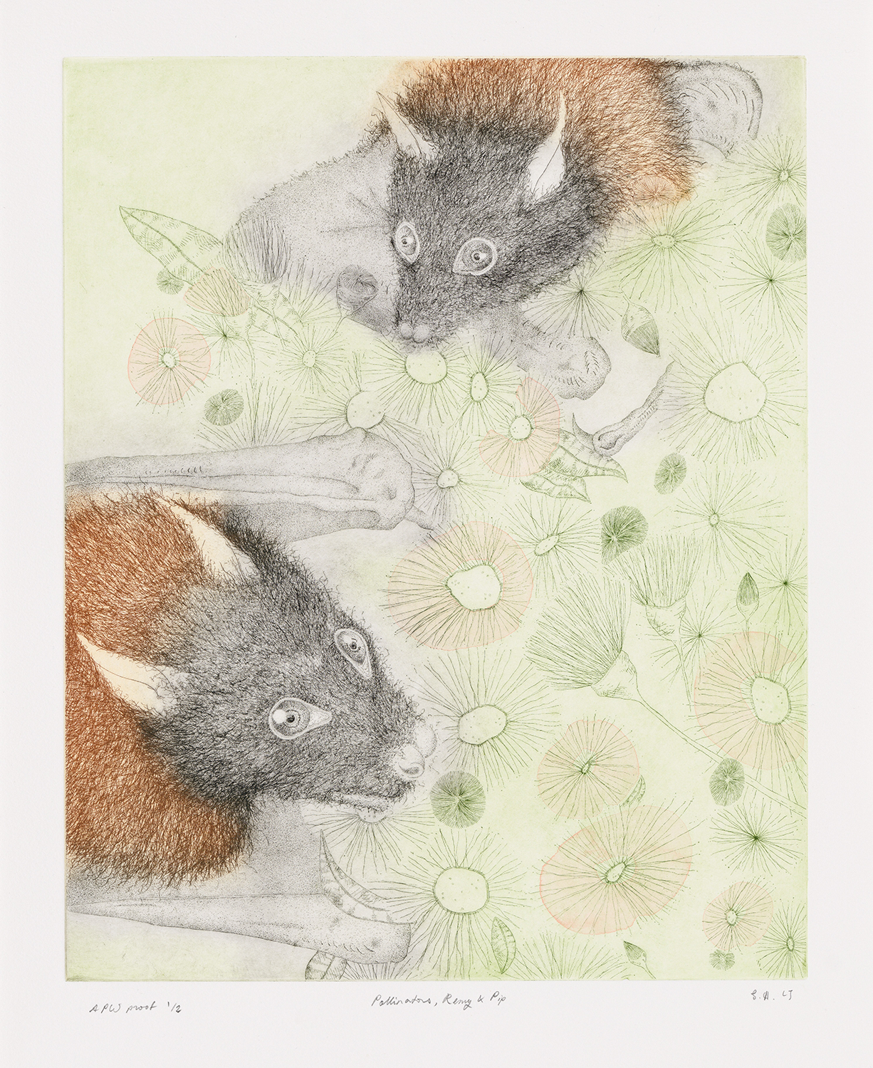 Three print projects â â gracia and louise