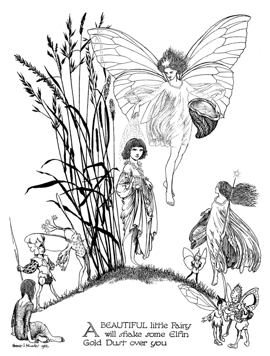 Toronto public coloring book â color our collections
