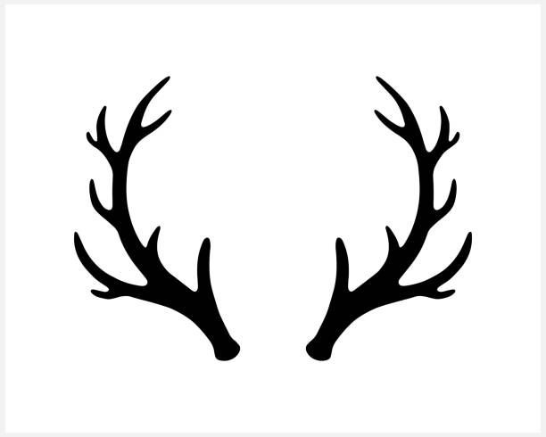 Reindeer antlers stock illustrations royalty