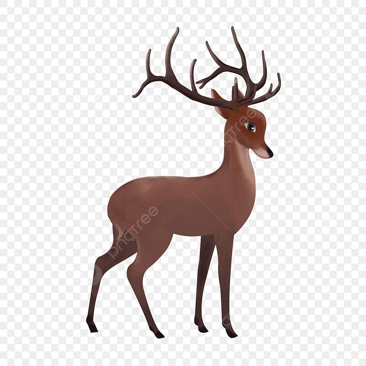 Brown reindeer clipart vector red brown side standing reindeer wild animal elk clipart elk clipart wild animals stand png image for free download