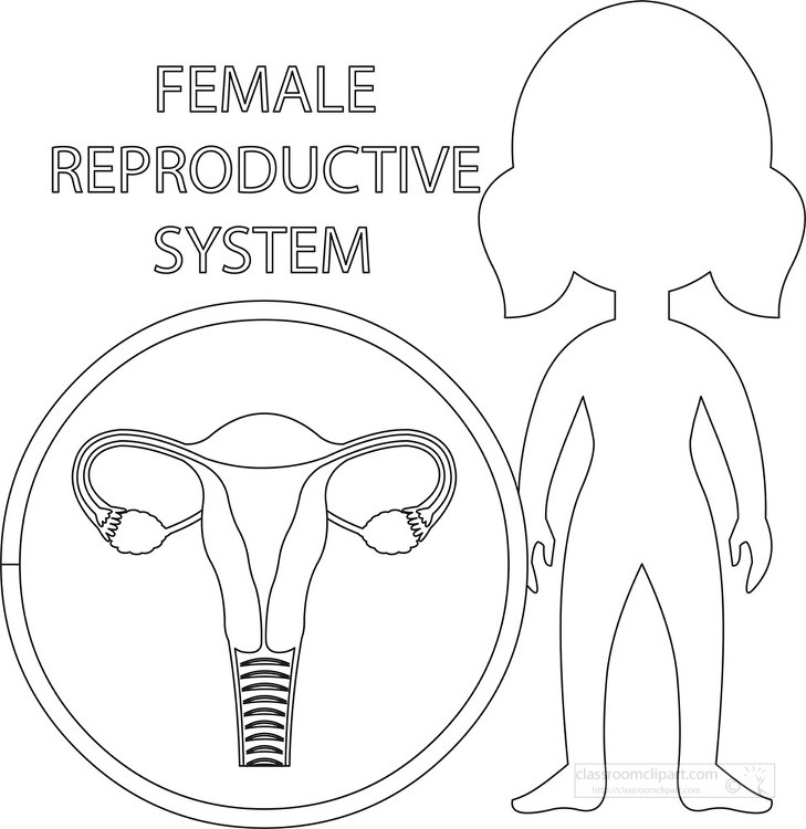 Science outline clipart