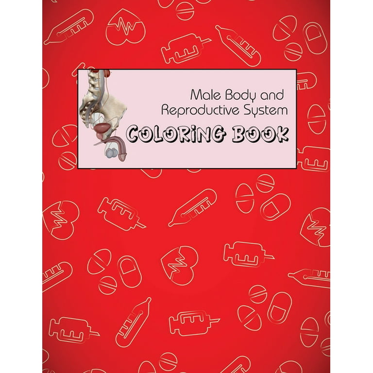 Male body and reproductive system coloring book anatomy and physiology coloring book for adults college and medical students paperback