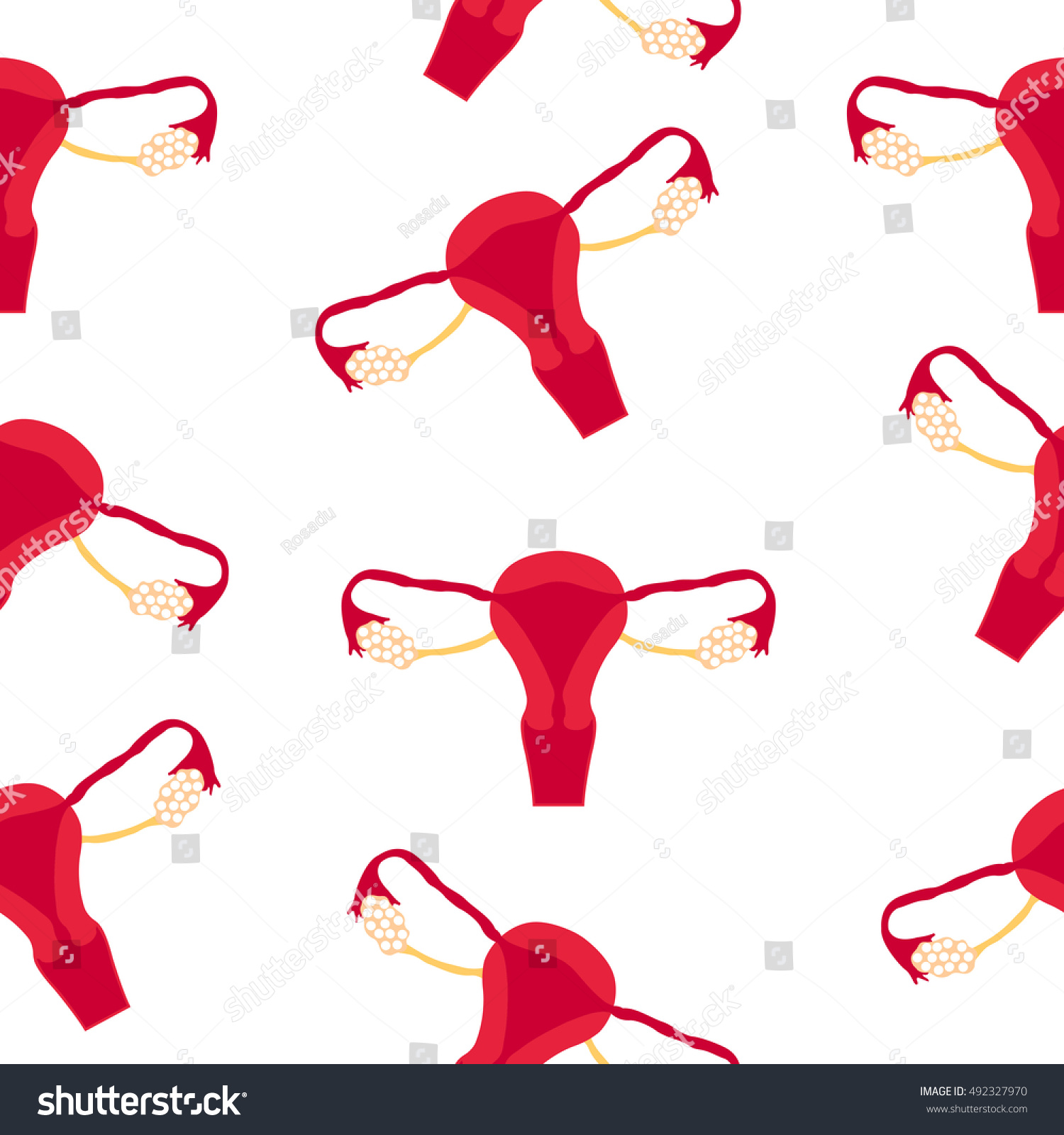 Female reproductive system circuit sketch handdrawn stock illustration