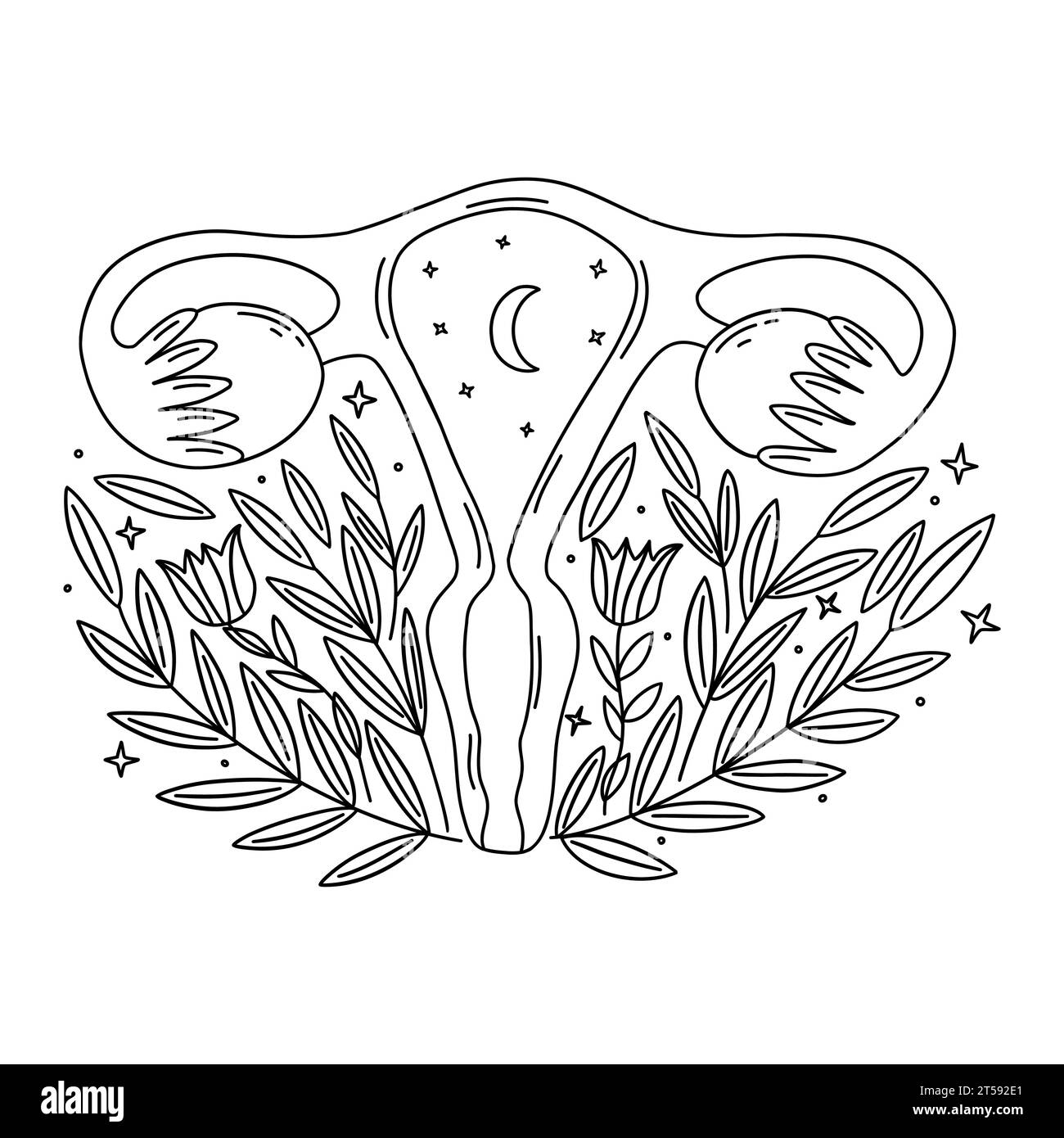 Genital health stock vector images