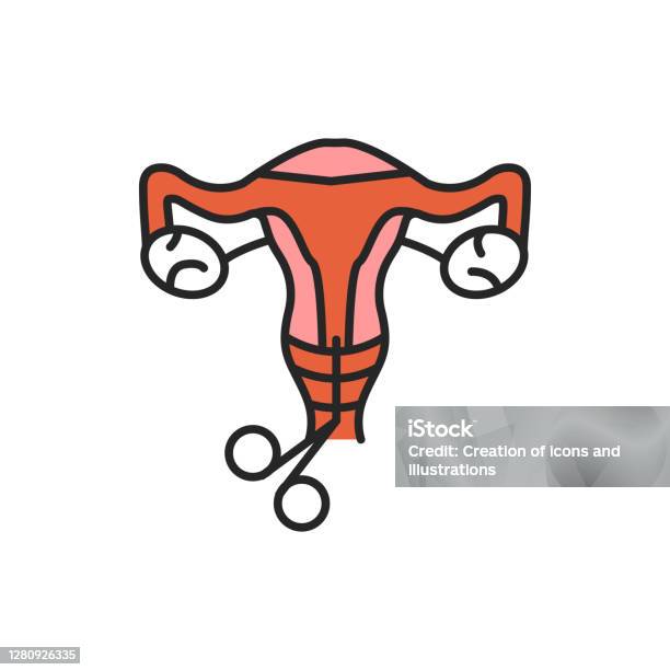 Cervical biopsy line color icon female reproductive system checkup sign for web page mobile app button logo stock illustration