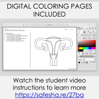 Reproduction and development coloring book passages printable digital