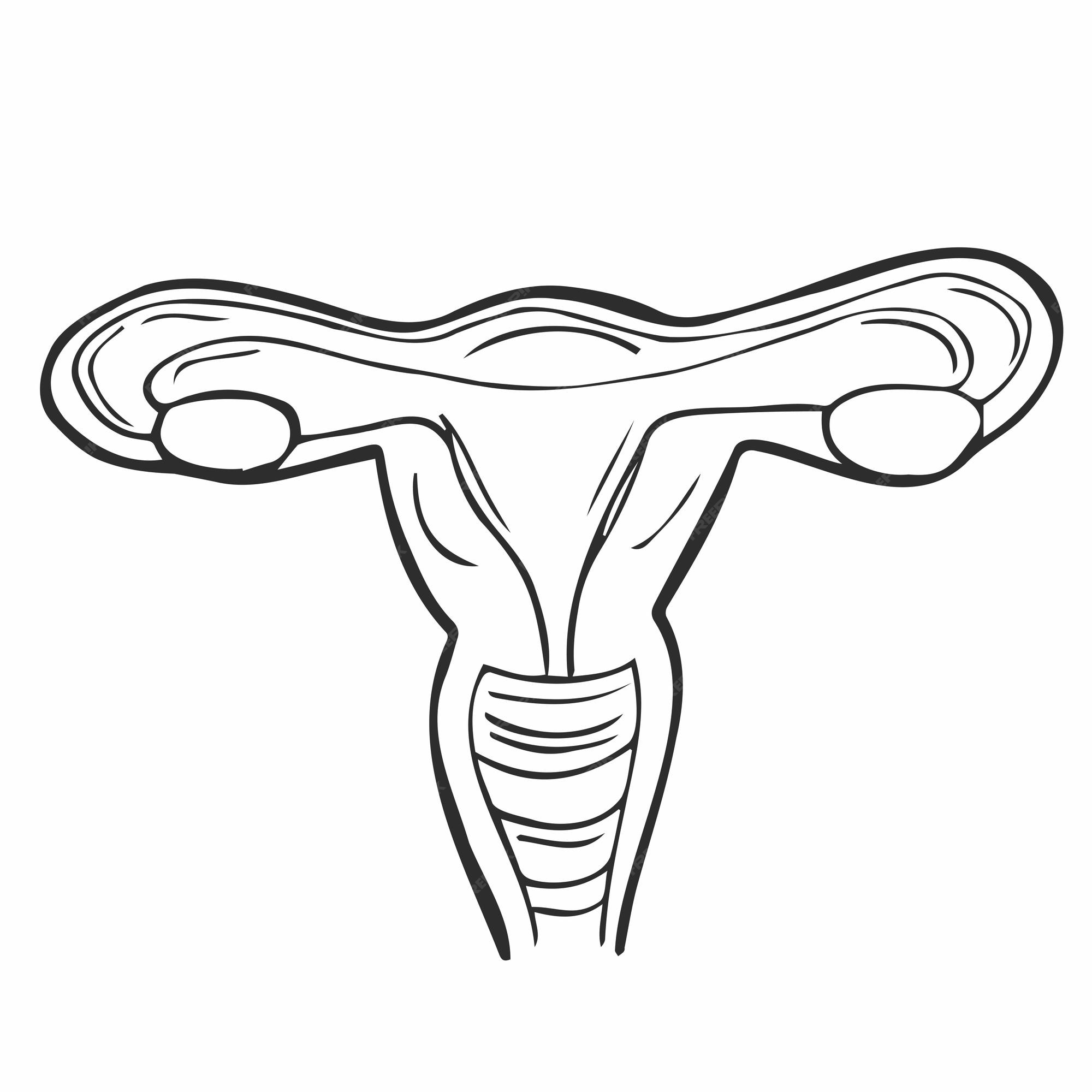 Premium vector reproductive female icon silhouette illustration uterus vector graphic pictogram symbol clip art