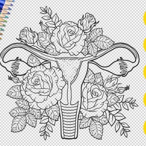 Uterus coloring page