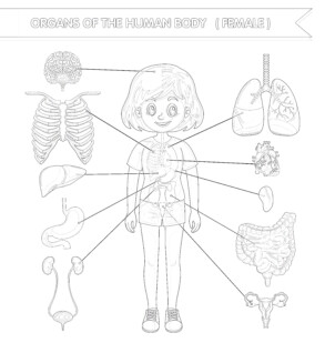Body structure girl coloring page