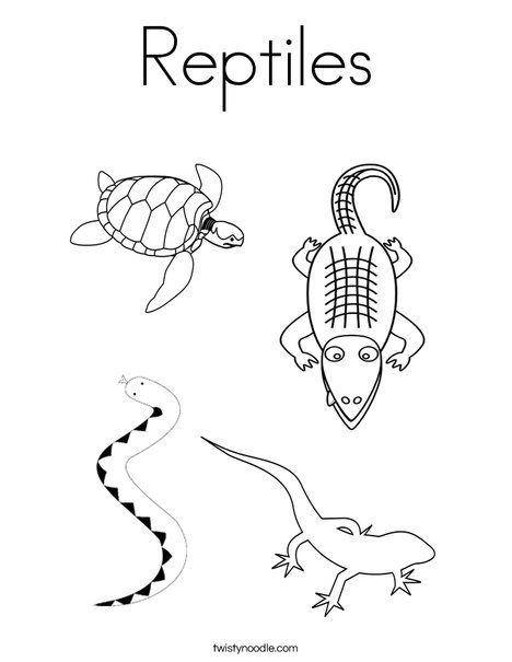 Reptiles coloring page reptiles animal coloring pages reptile crafts
