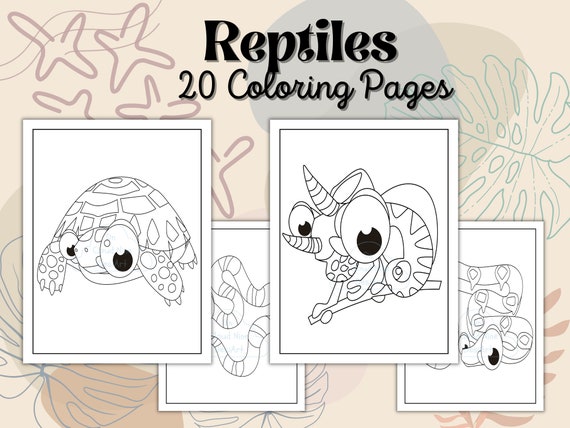 Reptile coloring pages reptile coloring book reptile printable activity sheets for kids lizards snakes turtle frog digital download