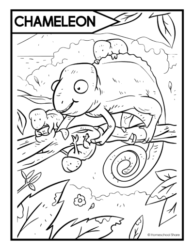 Reptiles coloring pages