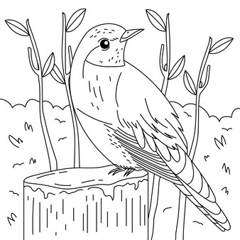 Page reptile coloring page images