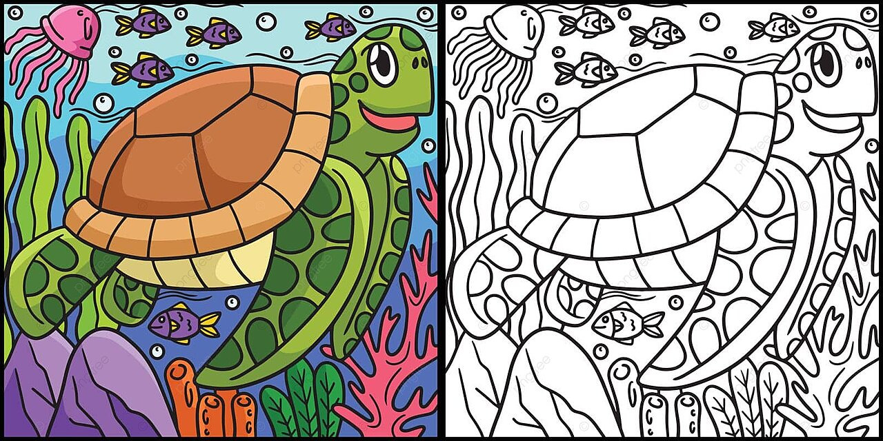 Turtle coloring page colored illustration reptile toddler illustration vector turtle drawing rat drawing ring drawing png and vector with transparent background for free download
